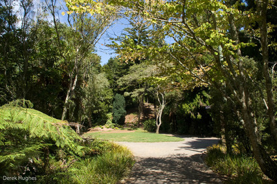 Monument Hill. 