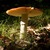 Fly Agaric 08. 