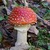 Fly Agaric 04. 