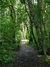 Brooklands bush walk5. 
