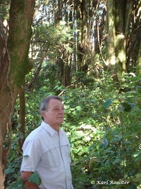 Kaimata shelterbelt David Medway. 