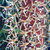 Close-up of Coelogyna pulverula flowerspikes . 