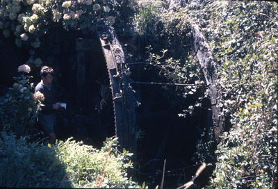 Omata Dairy Factory Waterwheel. 