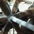 Waterwheel hub and spoke detail. 