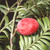Miro Tree in Fruit_3. 