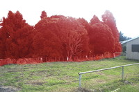 Racecourse access02. 