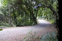 Racecourse access09. 