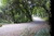 Racecourse access09. 