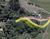 Pukekura Park access roads proposed - no mitigation. 