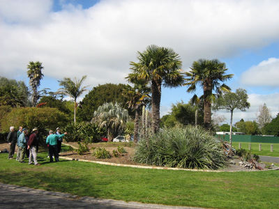 Brooklands Drive. 