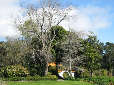 Kunming Garden Moongate. 