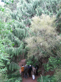 walk behind zoo Arbour Day Planting. 