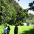 Kindergarten Gully view to North. 