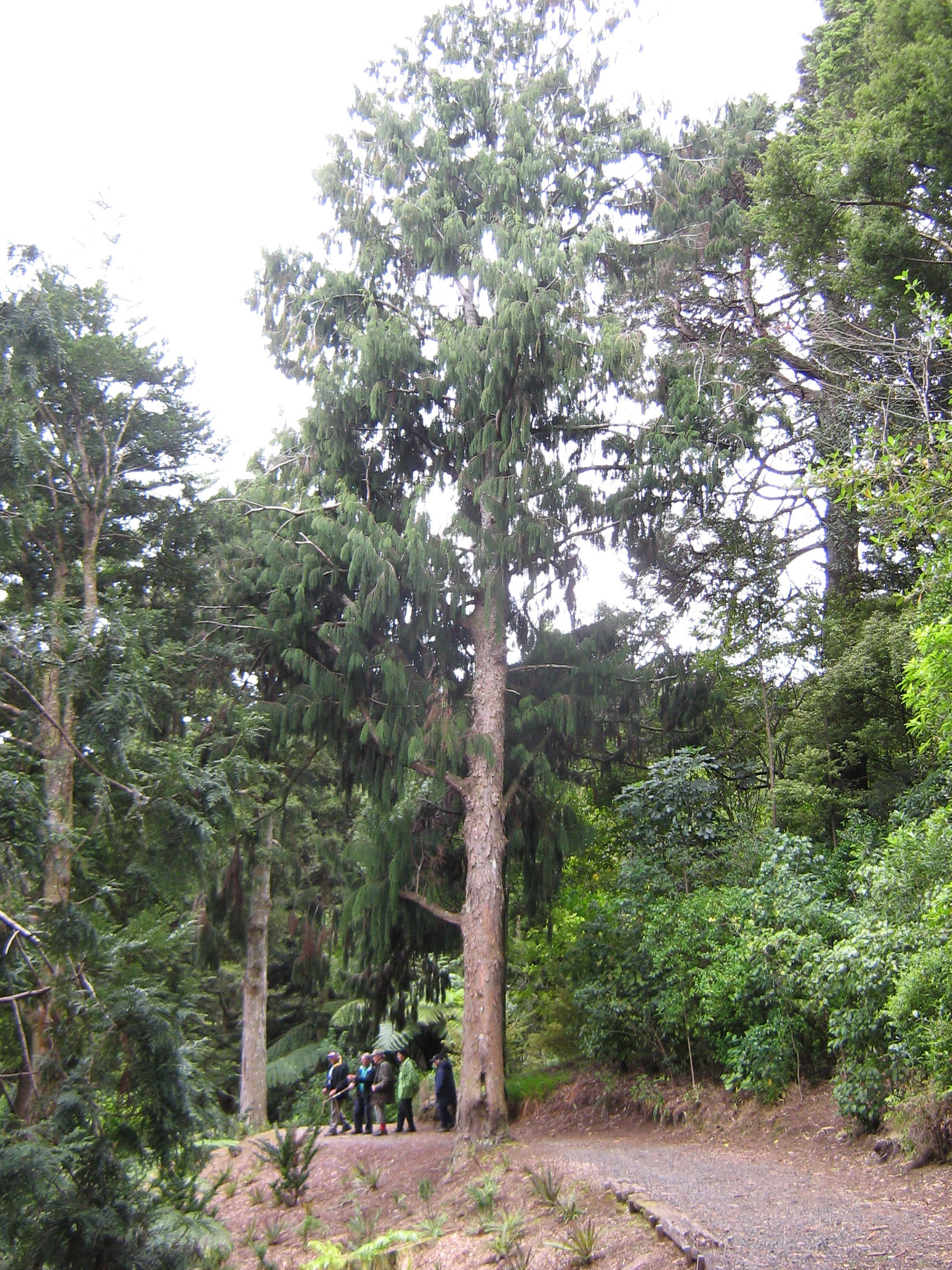 Monument Hill